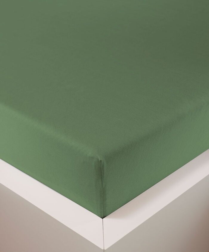 Eberle 'BELLANA DELUXE' - Teygjulak (Schilf) - Image 2