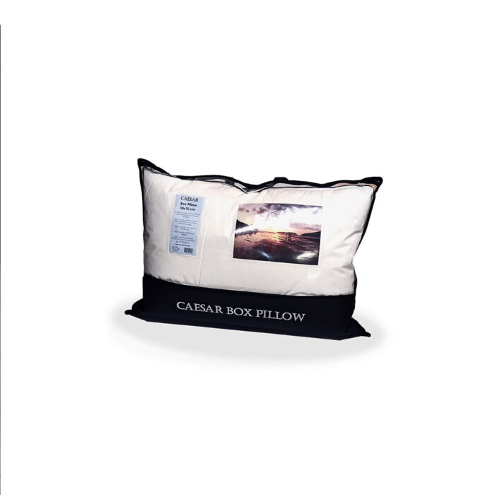 caesar-box-pillow-1350g CAESAR - Koddi (Microfiber - 1350g) - Image 2