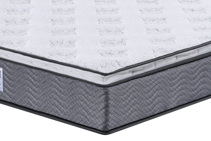 Royal Esja - Heilsudýna - Image 2