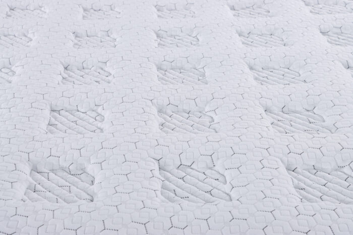 Royal Esja - Heilsudýna - Image 6